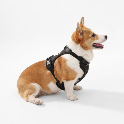 Arlo Adjustable Soft Padded No Pull Pet Harness with 3 Buckles and 3 Leash Clips