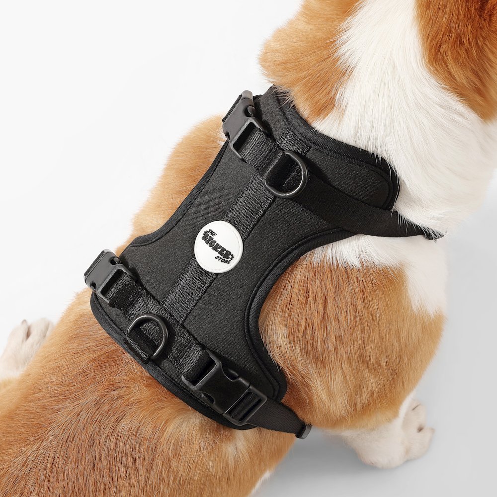 Arlo Adjustable Soft Padded No Pull Pet Harness with 3 Buckles and 3 Leash Clips