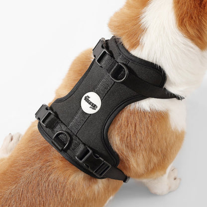 Arlo Adjustable Soft Padded No Pull Pet Harness with 3 Buckles and 3 Leash Clips