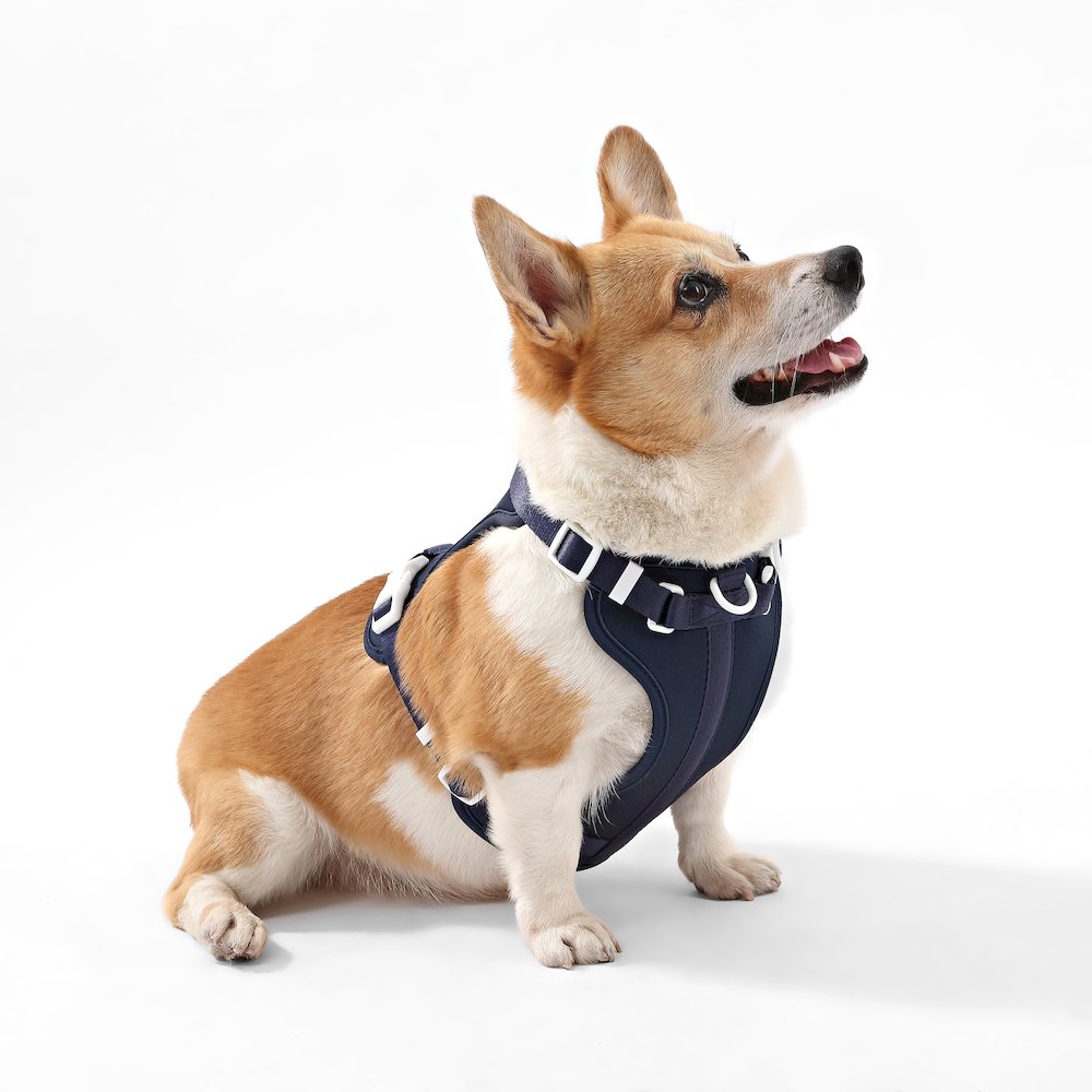 Arlo Adjustable Soft Padded No Pull Pet Harness with 3 Buckles and 3 Leash Clips
