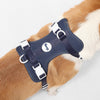 Arlo Adjustable Soft Padded No Pull Pet Harness with 3 Buckles and 3 Leash Clips