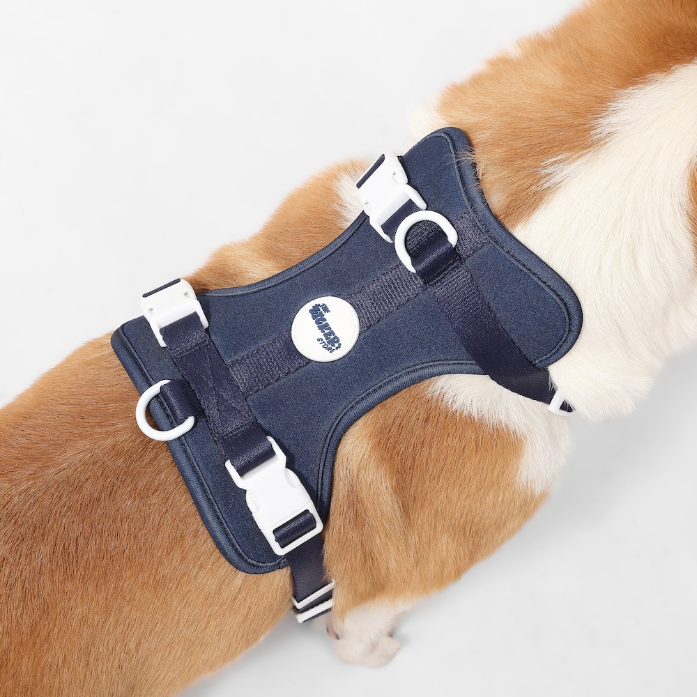 Arlo Adjustable Soft Padded No Pull Pet Harness with 3 Buckles and 3 Leash Clips