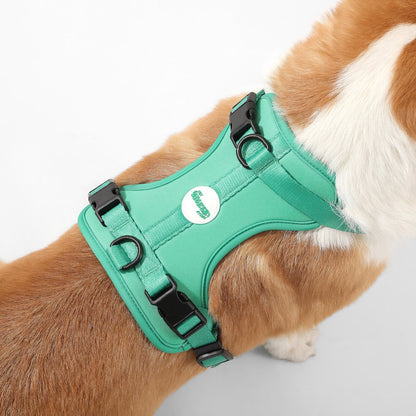 Arlo Adjustable Soft Padded No Pull Pet Harness with 3 Buckles and 3 Leash Clips