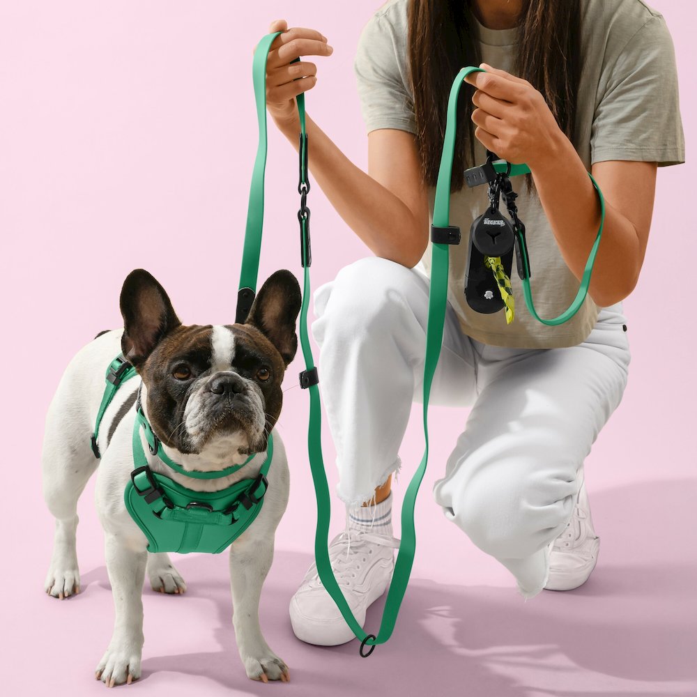 Arlo Adjustable Soft Padded No Pull Pet Harness with 3 Buckles and 3 Leash Clips