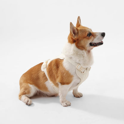 Arlo Adjustable Soft Padded No Pull Pet Harness with 3 Buckles and 3 Leash Clips