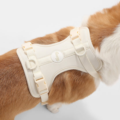 Arlo Adjustable Soft Padded No Pull Pet Harness with 3 Buckles and 3 Leash Clips