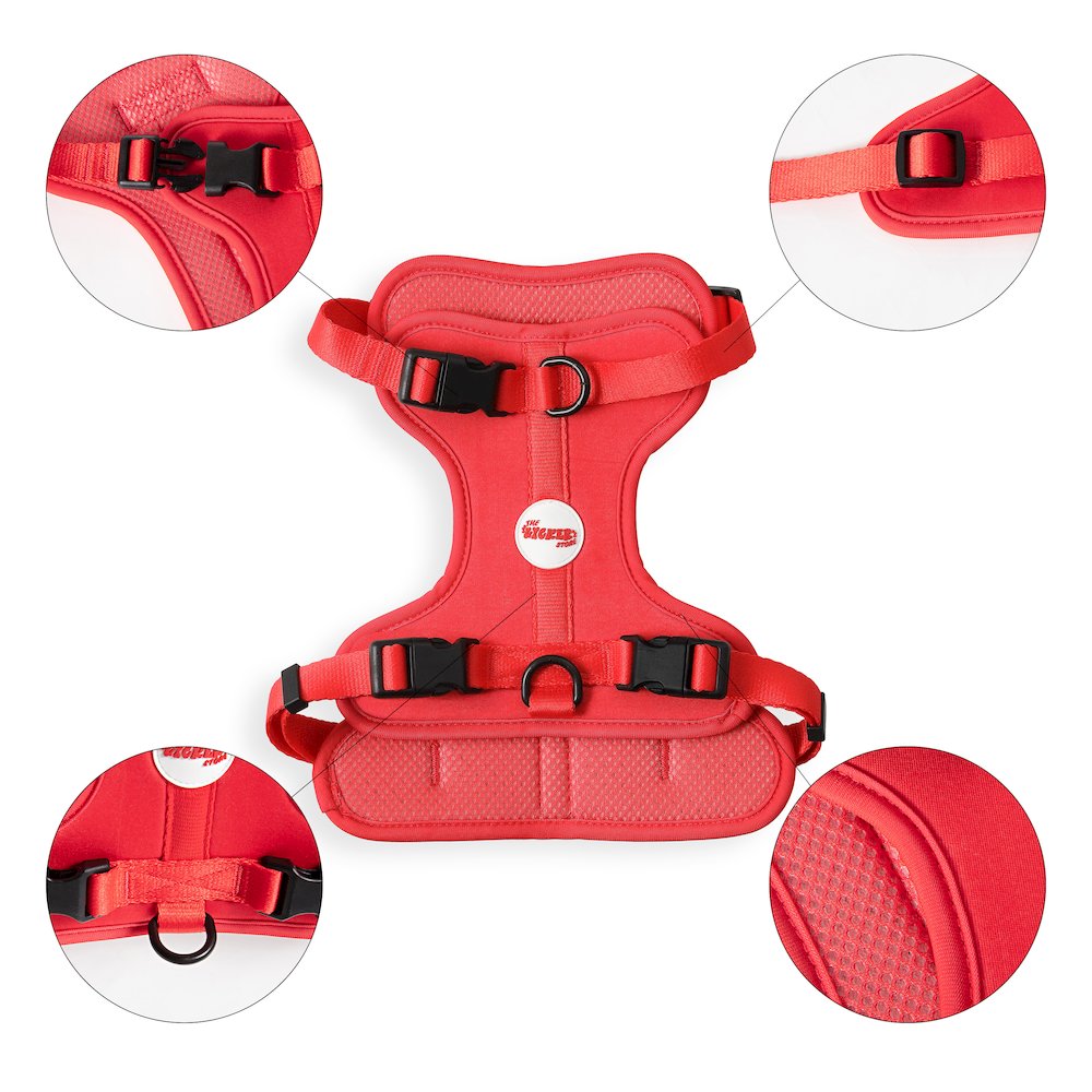 Arlo Adjustable Soft Padded No Pull Pet Harness with 3 Buckles and 3 Leash Clips