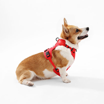 Arlo Adjustable Soft Padded No Pull Pet Harness with 3 Buckles and 3 Leash Clips