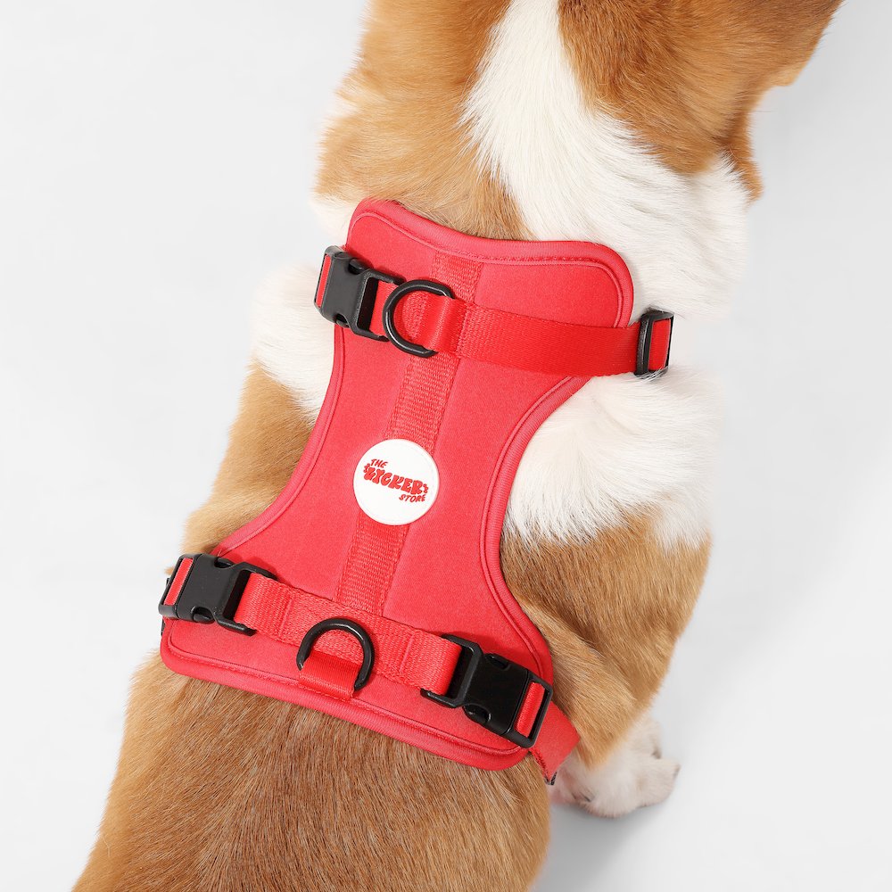 Arlo Adjustable Soft Padded No Pull Pet Harness with 3 Buckles and 3 Leash Clips
