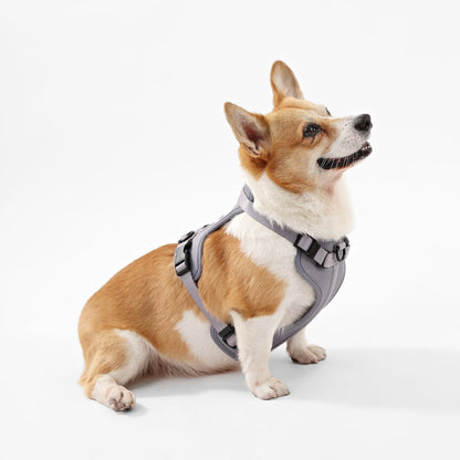 Arlo Adjustable Soft Padded No Pull Pet Harness with 3 Buckles and 3 Leash Clips