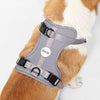 Arlo Adjustable Soft Padded No Pull Pet Harness with 3 Buckles and 3 Leash Clips