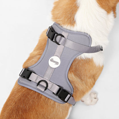 Arlo Adjustable Soft Padded No Pull Pet Harness with 3 Buckles and 3 Leash Clips