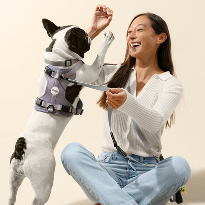 Arlo Adjustable Soft Padded No Pull Pet Harness with 3 Buckles and 3 Leash Clips