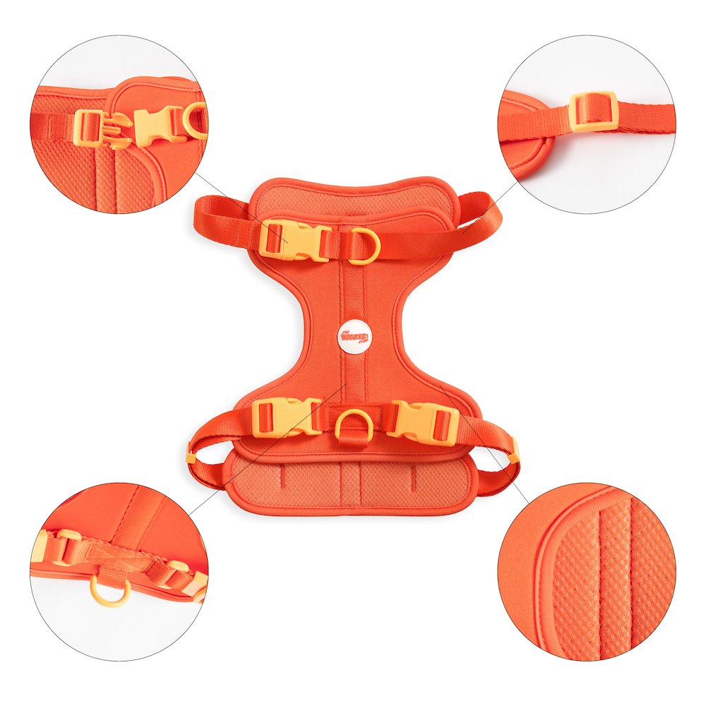Adjustable Soft Padded No Pull Pet Harness with 3 Buckles and 3 Leash Clips