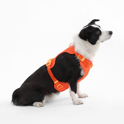 Adjustable Soft Padded No Pull Pet Harness with 3 Buckles and 3 Leash Clips