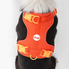 Adjustable Soft Padded No Pull Pet Harness with 3 Buckles and 3 Leash Clips