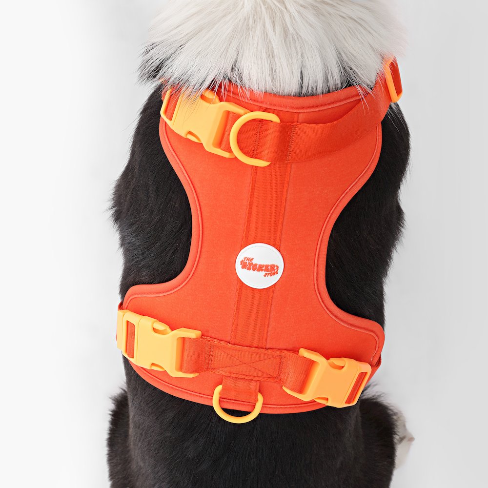 Adjustable Soft Padded No Pull Pet Harness with 3 Buckles and 3 Leash Clips