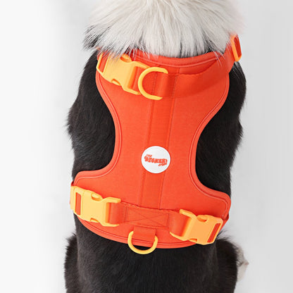Adjustable Soft Padded No Pull Pet Harness with 3 Buckles and 3 Leash Clips