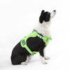 Adjustable Soft Padded No Pull Pet Harness with 3 Buckles and 3 Leash Clips