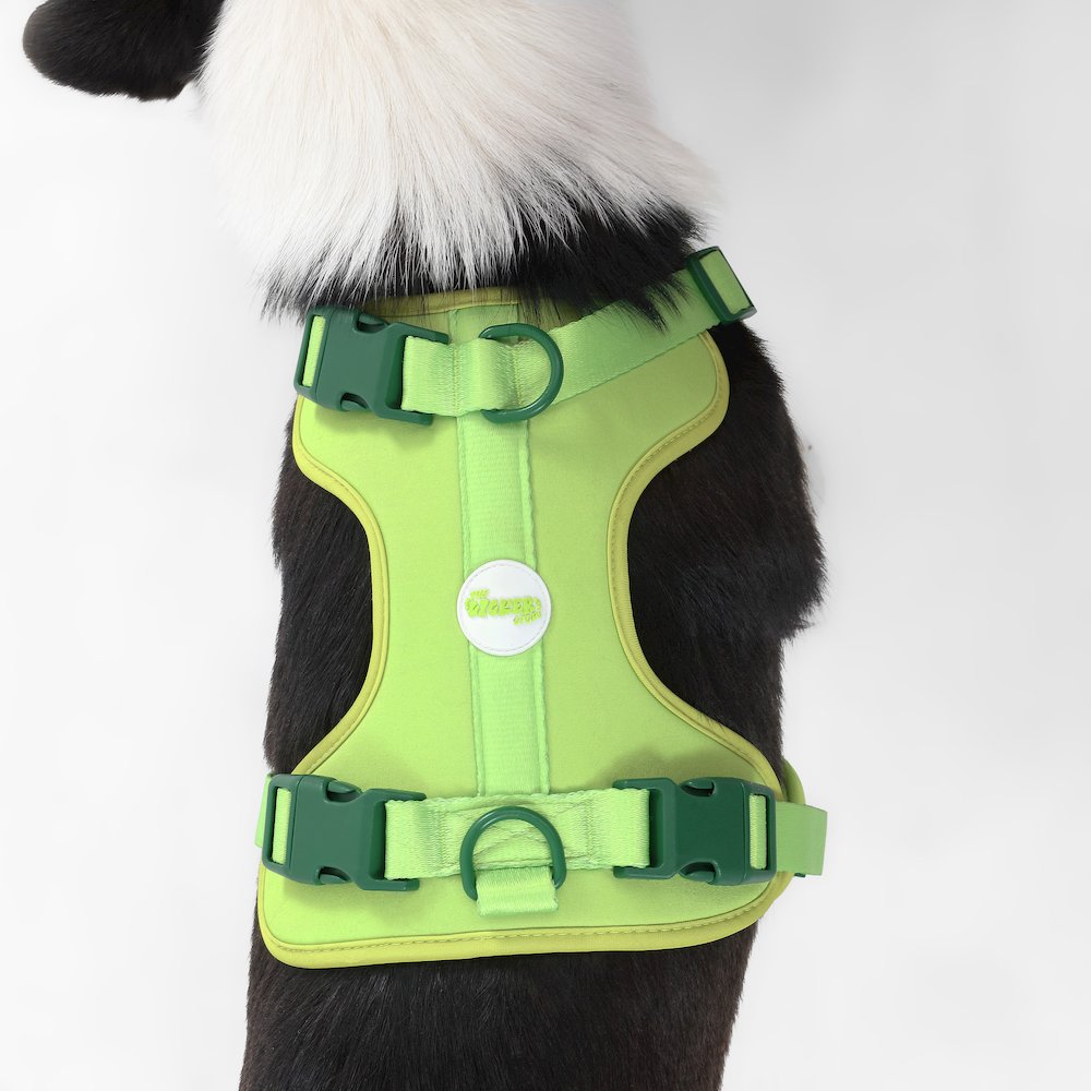 Adjustable Soft Padded No Pull Pet Harness with 3 Buckles and 3 Leash Clips