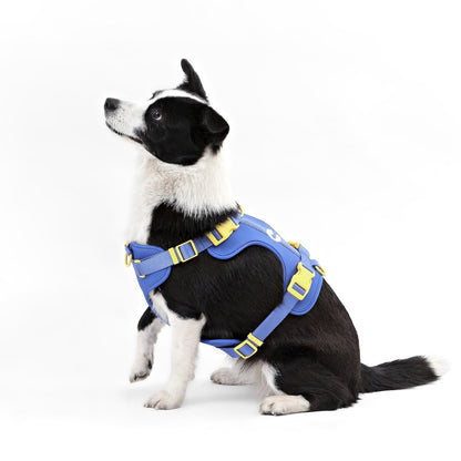 Adjustable Soft Padded No Pull Pet Harness with 3 Buckles and 3 Leash Clips
