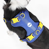 Adjustable Soft Padded No Pull Pet Harness with 3 Buckles and 3 Leash Clips