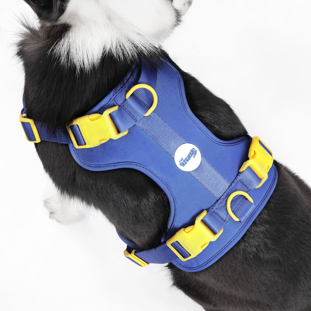 Adjustable Soft Padded No Pull Pet Harness with 3 Buckles and 3 Leash Clips