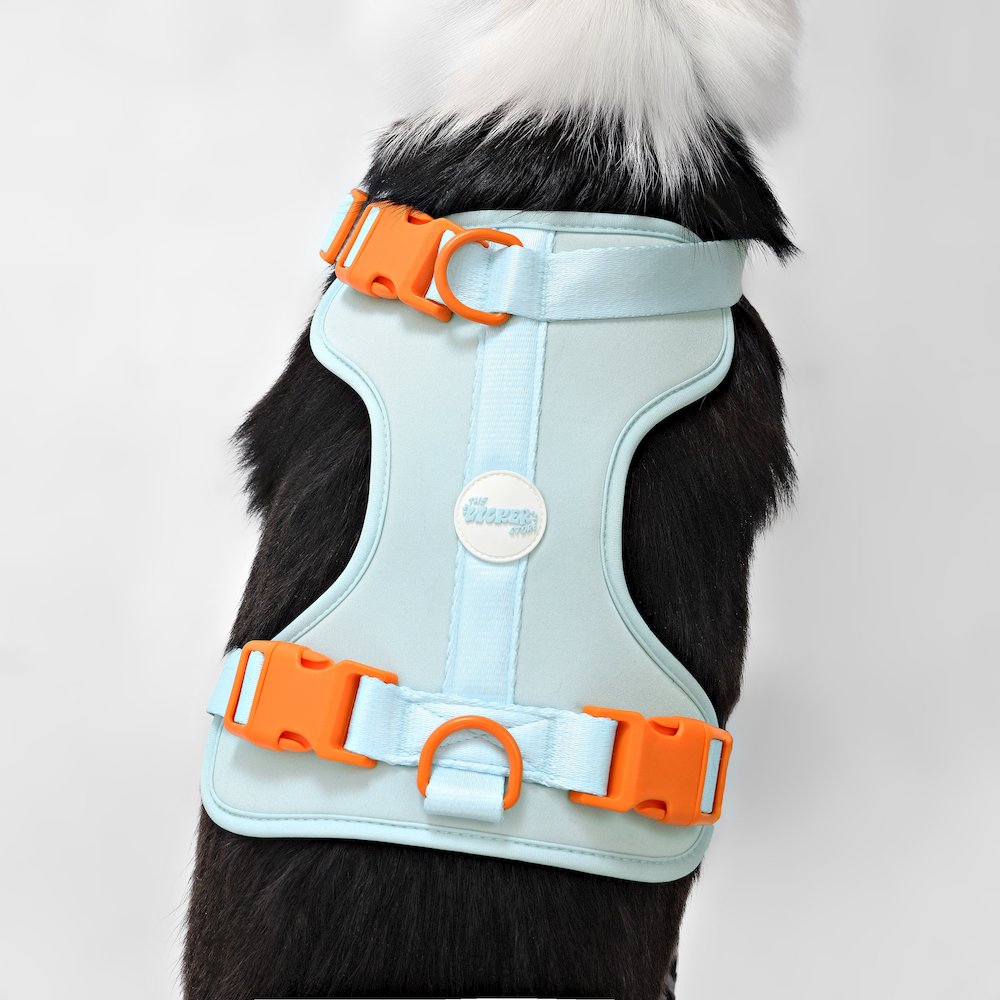 Adjustable Soft Padded No Pull Pet Harness with 3 Buckles and 3 Leash Clips