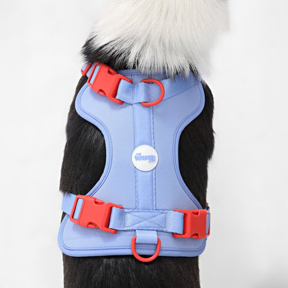 Adjustable Soft Padded No Pull Pet Harness with 3 Buckles and 3 Leash Clips