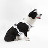 Adjustable Soft Padded No Pull Pet Harness with 3 Buckles and 3 Leash Clips