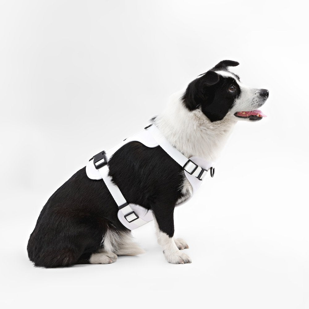 Adjustable Soft Padded No Pull Pet Harness with 3 Buckles and 3 Leash Clips