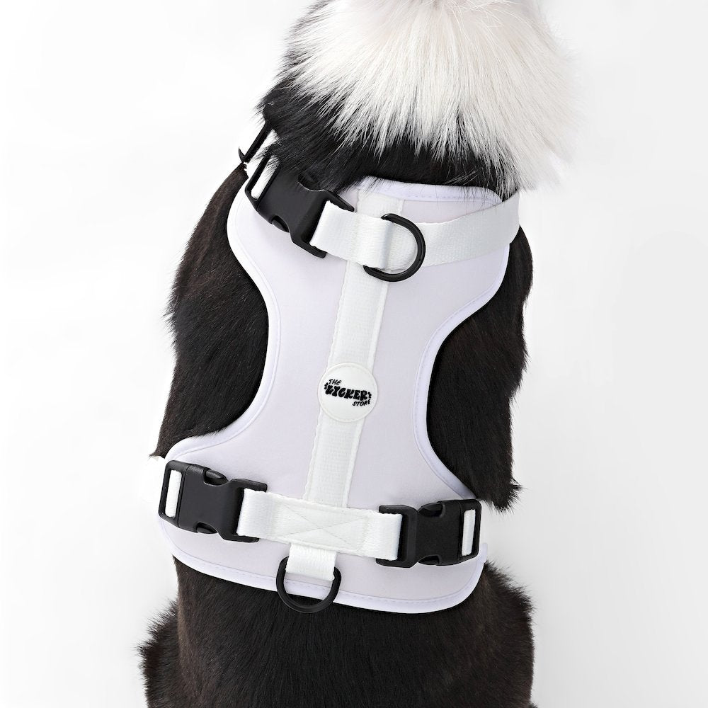 Adjustable Soft Padded No Pull Pet Harness with 3 Buckles and 3 Leash Clips