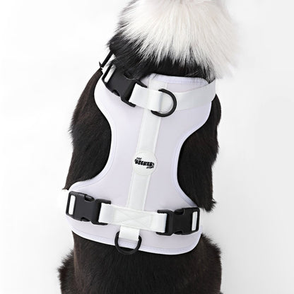 Adjustable Soft Padded No Pull Pet Harness with 3 Buckles and 3 Leash Clips