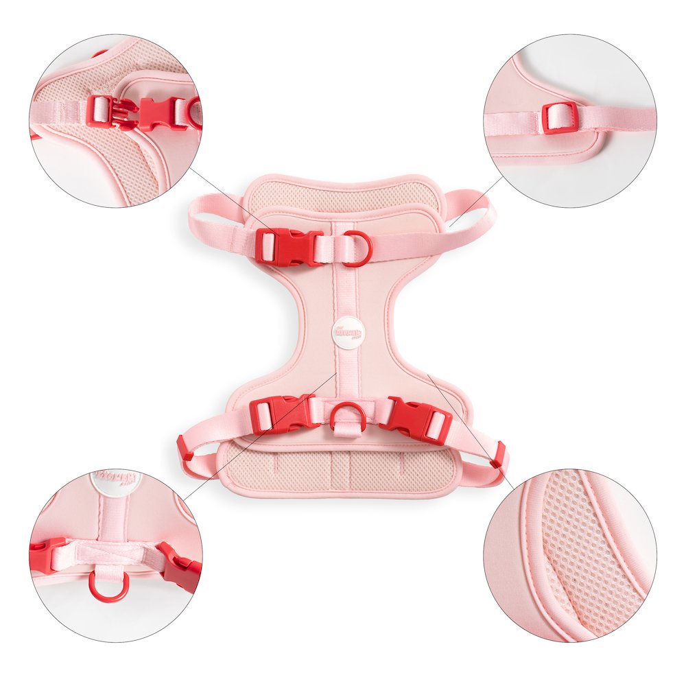 Adjustable Soft Padded No Pull Pet Harness with 3 Buckles and 3 Leash Clips