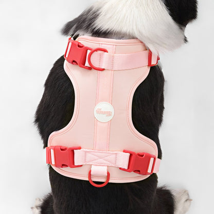 Adjustable Soft Padded No Pull Pet Harness with 3 Buckles and 3 Leash Clips