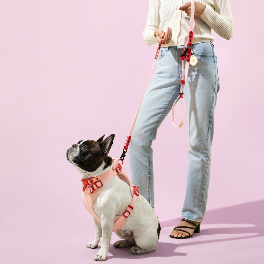 Adjustable Soft Padded No Pull Pet Harness with 3 Buckles and 3 Leash Clips