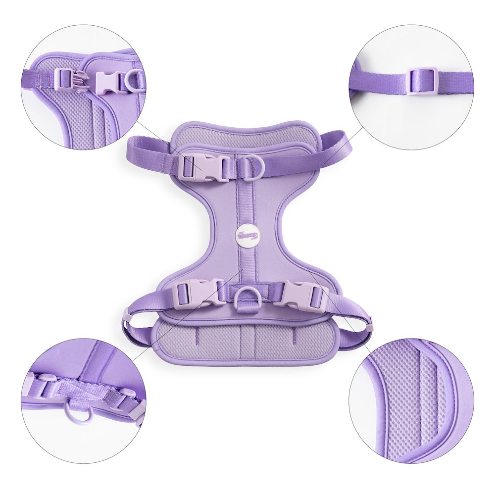 Adjustable Soft Padded No Pull Pet Harness with 3 Buckles and 3 Leash Clips