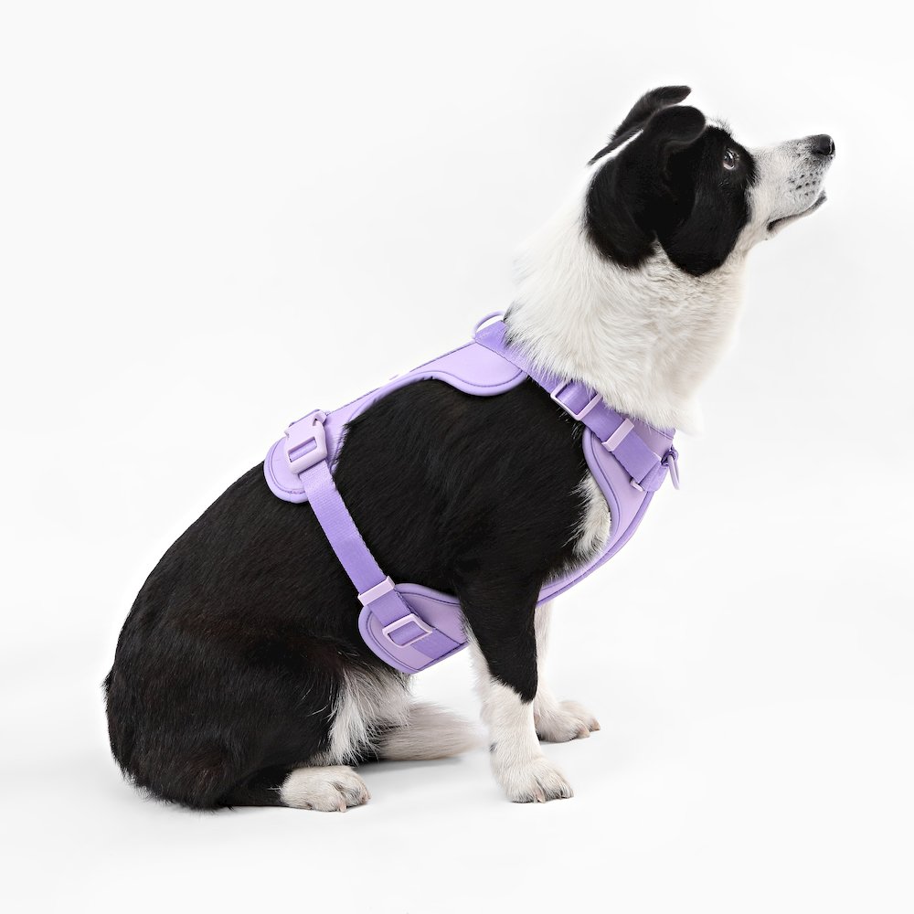 Adjustable Soft Padded No Pull Pet Harness with 3 Buckles and 3 Leash Clips