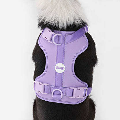 Adjustable Soft Padded No Pull Pet Harness with 3 Buckles and 3 Leash Clips