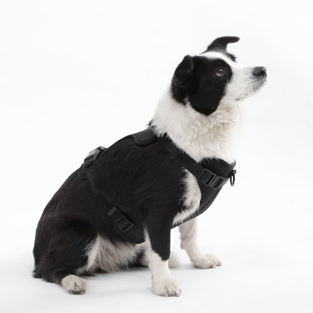 Adjustable Soft Padded No Pull Pet Harness with 3 Buckles and 3 Leash Clips