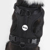 Adjustable Soft Padded No Pull Pet Harness with 3 Buckles and 3 Leash Clips