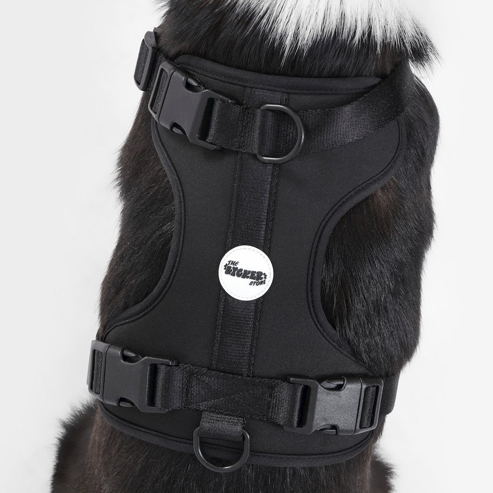 Adjustable Soft Padded No Pull Pet Harness with 3 Buckles and 3 Leash Clips