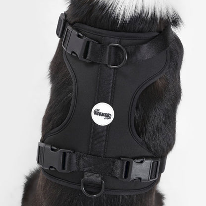 Adjustable Soft Padded No Pull Pet Harness with 3 Buckles and 3 Leash Clips