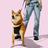 Adjustable Soft Padded No Pull Pet Harness with 3 Buckles and 3 Leash Clips
