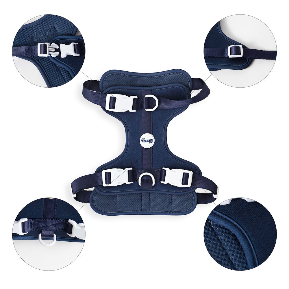 Adjustable Soft Padded No Pull Pet Harness with 3 Buckles and 3 Leash Clips
