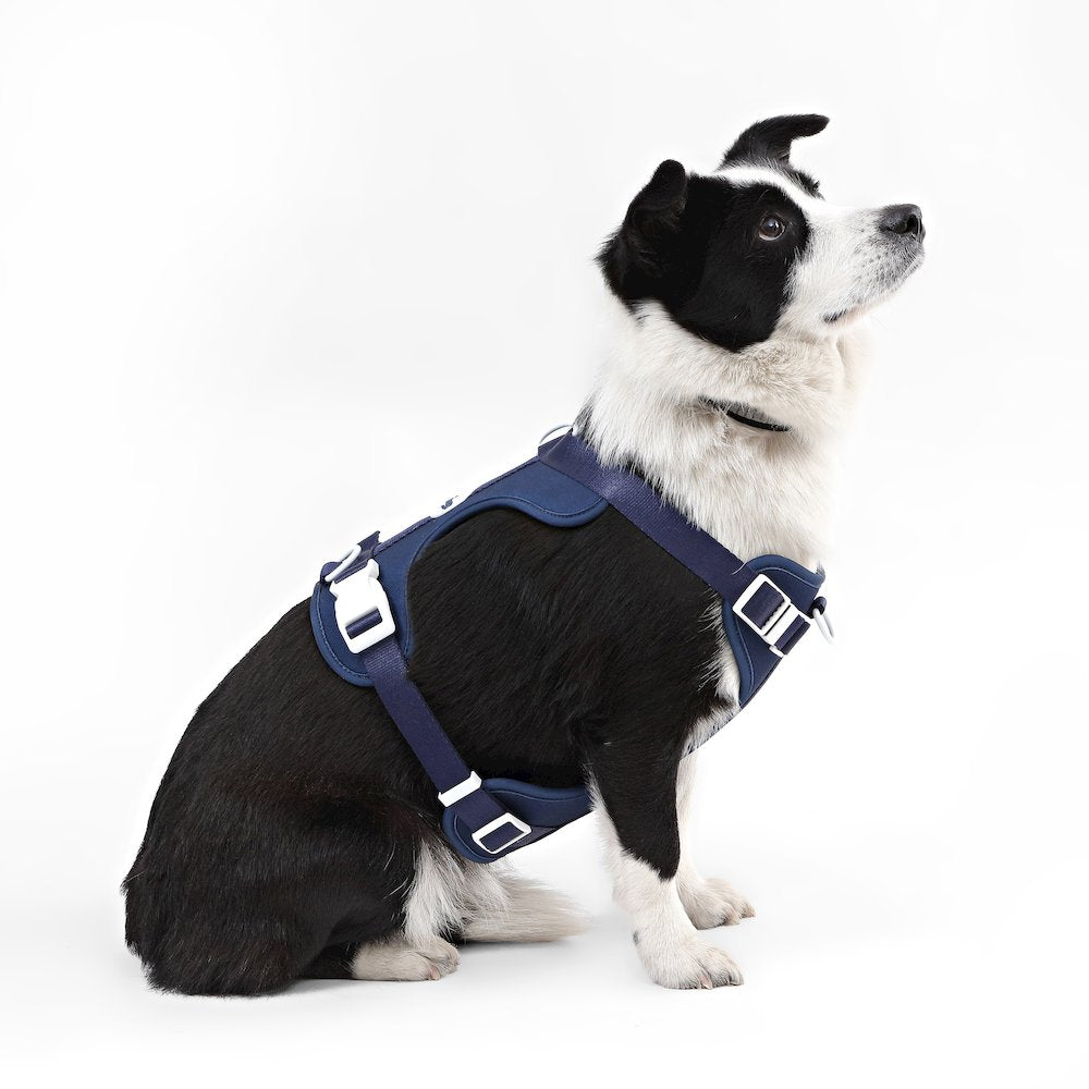 Adjustable Soft Padded No Pull Pet Harness with 3 Buckles and 3 Leash Clips