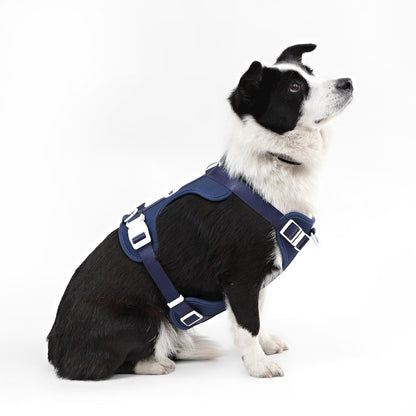 Adjustable Soft Padded No Pull Pet Harness with 3 Buckles and 3 Leash Clips