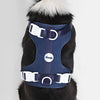 Adjustable Soft Padded No Pull Pet Harness with 3 Buckles and 3 Leash Clips
