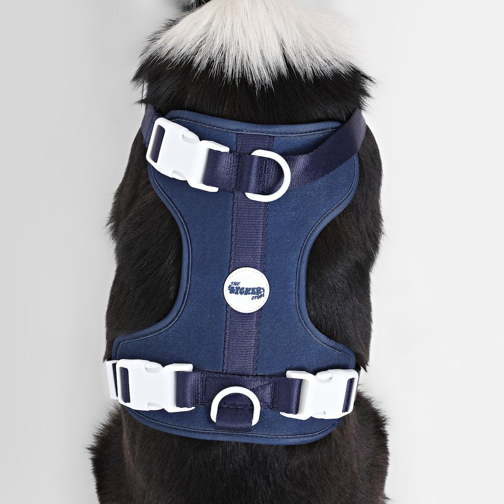 Adjustable Soft Padded No Pull Pet Harness with 3 Buckles and 3 Leash Clips