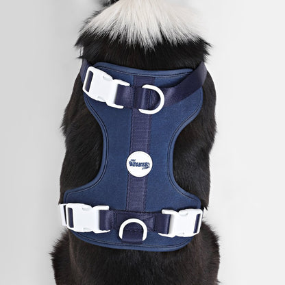 Adjustable Soft Padded No Pull Pet Harness with 3 Buckles and 3 Leash Clips